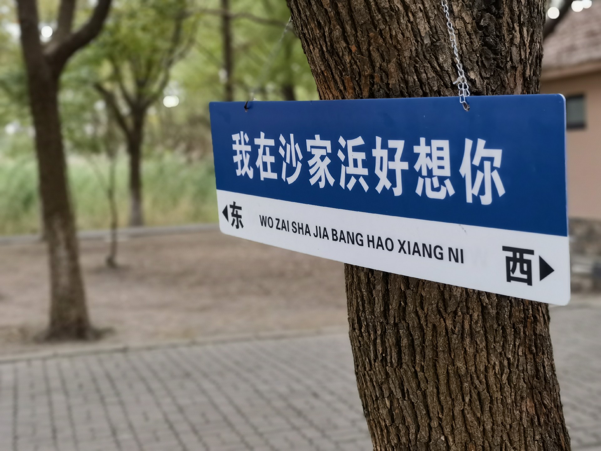 1699933247783572.jpg 微信图片_20231114102804.jpg